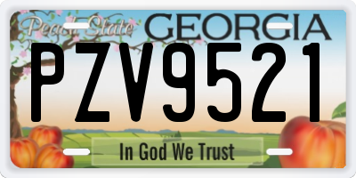 GA license plate PZV9521