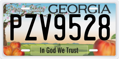 GA license plate PZV9528