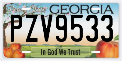 GA license plate PZV9533
