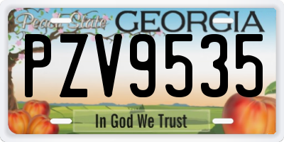 GA license plate PZV9535
