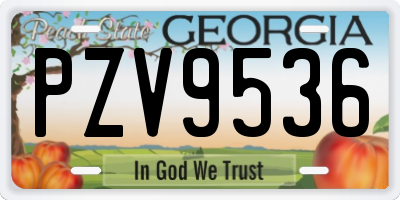 GA license plate PZV9536