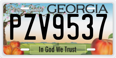 GA license plate PZV9537