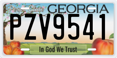 GA license plate PZV9541