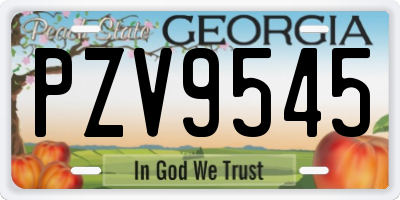 GA license plate PZV9545