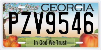GA license plate PZV9546