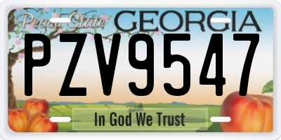 GA license plate PZV9547