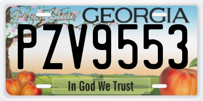 GA license plate PZV9553