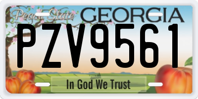 GA license plate PZV9561