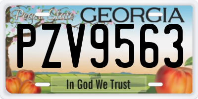 GA license plate PZV9563