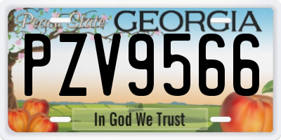 GA license plate PZV9566