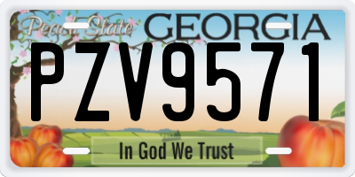 GA license plate PZV9571
