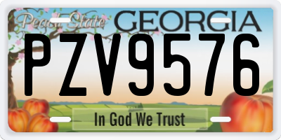 GA license plate PZV9576