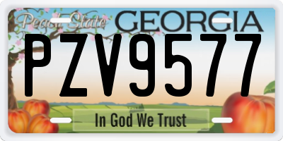GA license plate PZV9577