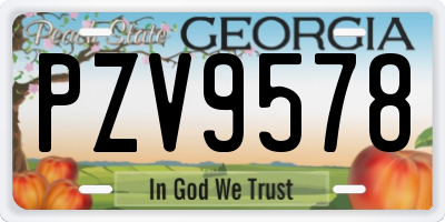 GA license plate PZV9578