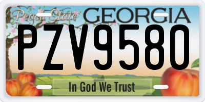 GA license plate PZV9580
