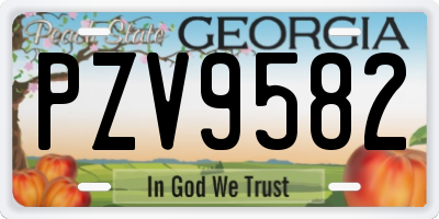 GA license plate PZV9582