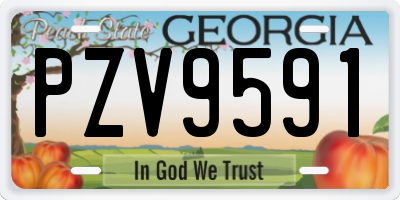 GA license plate PZV9591