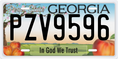 GA license plate PZV9596