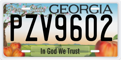 GA license plate PZV9602