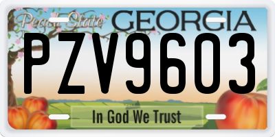 GA license plate PZV9603