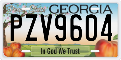 GA license plate PZV9604