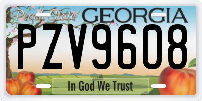GA license plate PZV9608