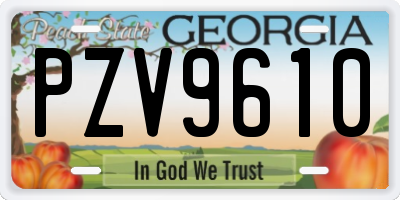 GA license plate PZV9610