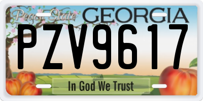 GA license plate PZV9617