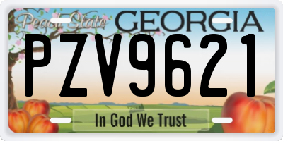 GA license plate PZV9621