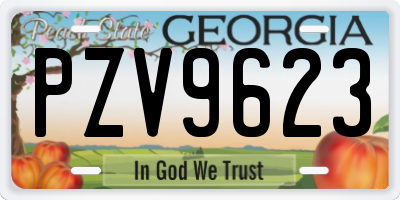 GA license plate PZV9623