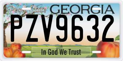 GA license plate PZV9632