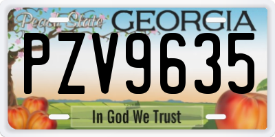 GA license plate PZV9635