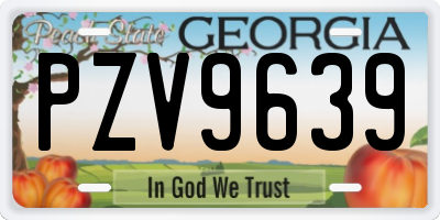 GA license plate PZV9639