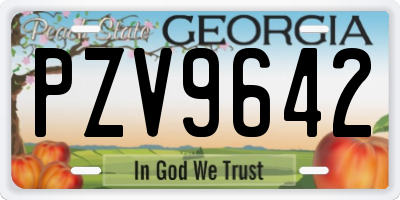 GA license plate PZV9642
