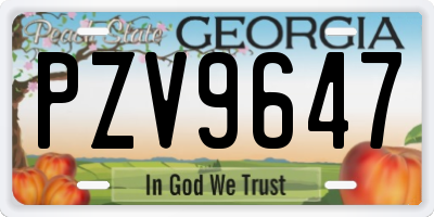 GA license plate PZV9647