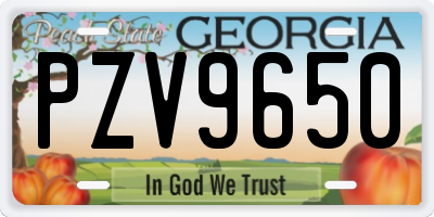GA license plate PZV9650