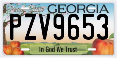 GA license plate PZV9653