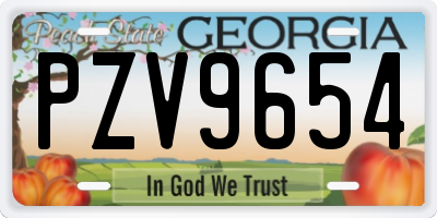 GA license plate PZV9654