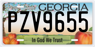 GA license plate PZV9655