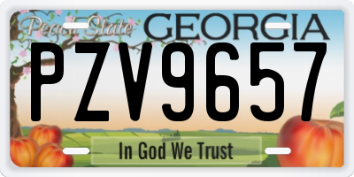 GA license plate PZV9657