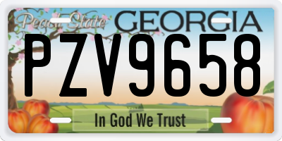 GA license plate PZV9658
