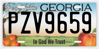 GA license plate PZV9659