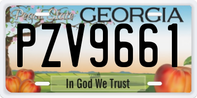 GA license plate PZV9661