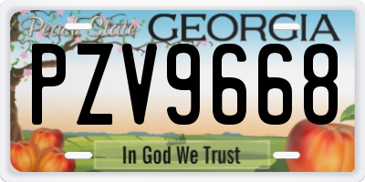 GA license plate PZV9668