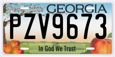 GA license plate PZV9673