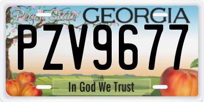 GA license plate PZV9677