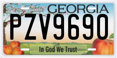 GA license plate PZV9690