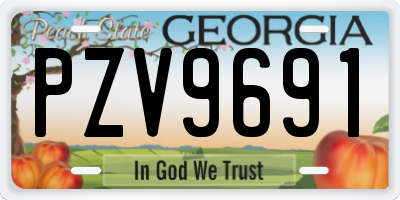 GA license plate PZV9691