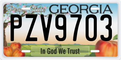 GA license plate PZV9703