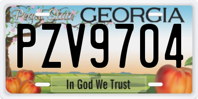 GA license plate PZV9704